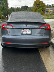 DADDY'S MONEY BUT IM DADDY LICENSE PLATE FRAME COVER