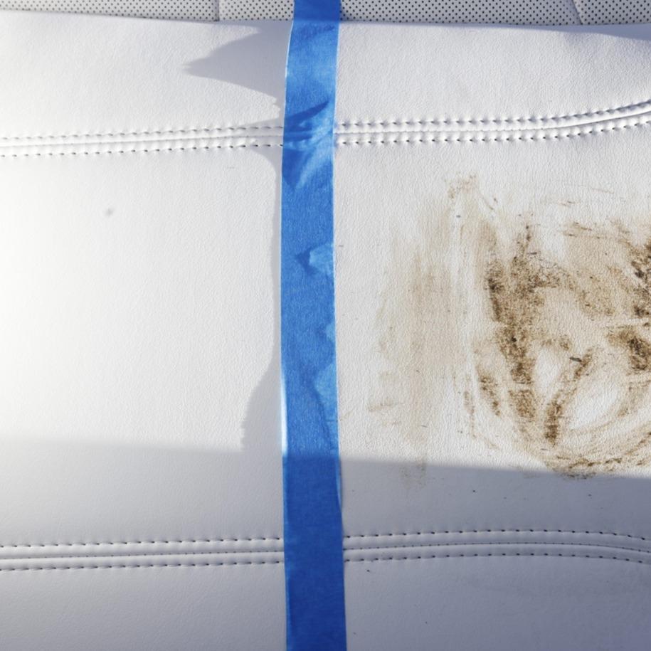 Brug's® Interior Scrub Pads